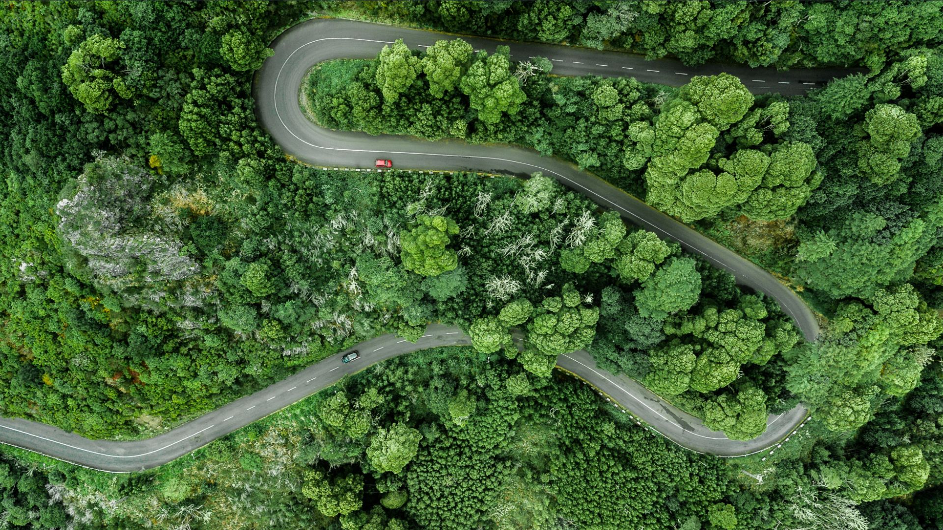 Schneider Electric Drives Data Centre Sustainability with Uniflair Cooling Innovation